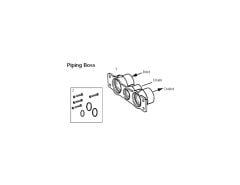 Manifolds - Piping  Boss
